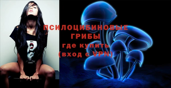 хмурый Новодвинск