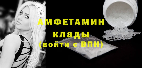 ПСИЛОЦИБИНОВЫЕ ГРИБЫ Новозыбков