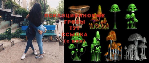 хмурый Новодвинск