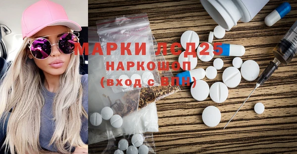 ПСИЛОЦИБИНОВЫЕ ГРИБЫ Новозыбков