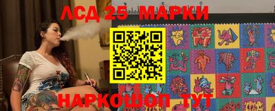 СК Дубна