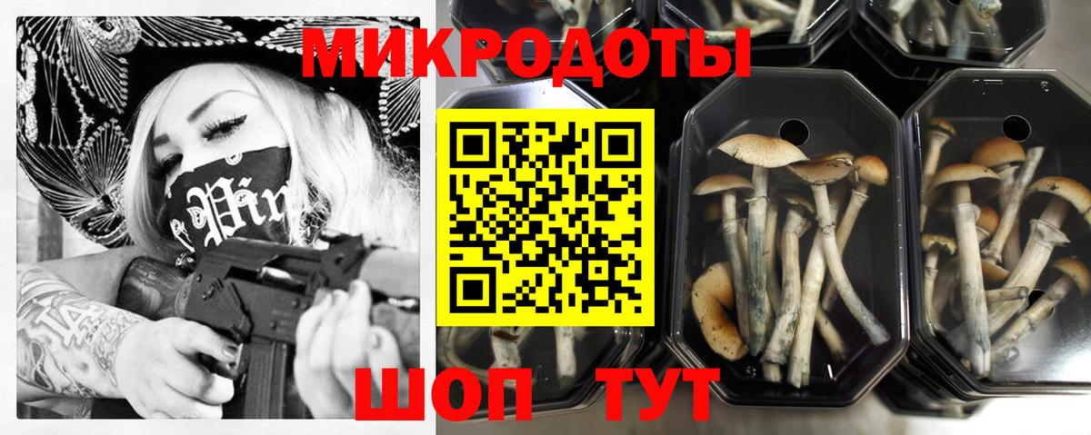 Галлюциногенные грибы Psilocybine cubensis  Ступино  Галлюциногенные грибы Psilocybine cubensis 